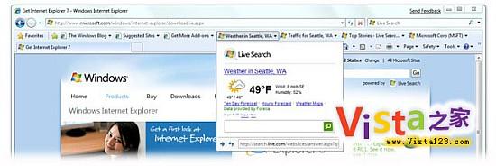 LiveSearchΪIE8WebSlice